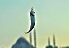 İnstagram'da nefes kesen Türkiye fotoğrafları