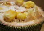 Dünyanın en büyük ağaçta yetişen meyvesi: Jackfruit