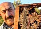 'Kırmızı bal'ın sırrı çözüldü!