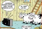 Kurbanlık karikat&uuml;rler g&uuml;ld&uuml;r&uuml;yor