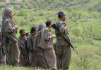 İşte operasyonlar sonrası kalan PKK'lı sayısı!