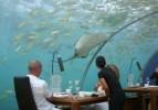 Dünyanın ilk su altı restoranı