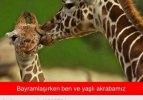 Bayram ziyareti capsleri
