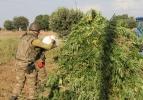 PKK'dan hain talimat: Hepsini yakın