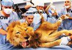 Fenerbahçe - Galatasaray capsleri