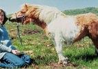 Prenses Diana'nın hiç yayınlanmamış fotoğrafları ortaya çıktı