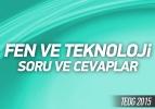 TEOG 2015 - Fen ve Teknoloji soru ve cevapları