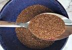 Yeni moda tahıl: TEFF 