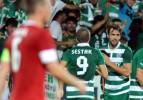 Timsah şov yaptı Portakal'ı soydu!