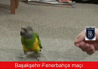 Futbol dünyasından efsane capsler...