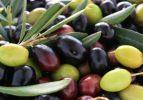Zeytin çekirdeği yemenin faydaları!