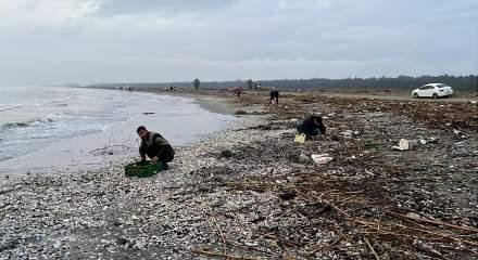 Mersin'de ilgin&ccedil; olay: Duyan duymayana duyurdu! Balık&ccedil;ılar kıyıya koştu 