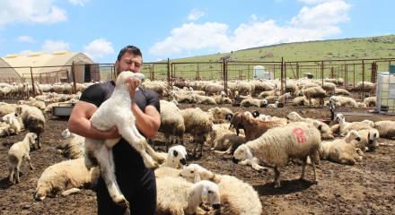 K&ouml;y&uuml;ne d&ouml;nd&uuml;, 100 koyunu bin 300 &ccedil;ıkardı! Kimse başarısının s&uuml;resine inanamıyor 