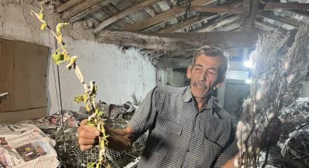 60 yıldır bu işi yapıyor! 40 g&uuml;nde 216 bin TL kazandı 
