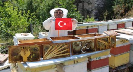 Bu se&ccedil;imi arılar belirledi! 4 partinin kıyasıya yarışı sonu&ccedil; verdi