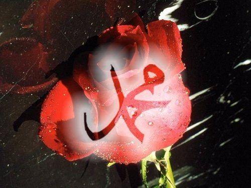 <p>Cuma namazına gitmeden evvel bıyıklarını kırparak düzeltir, tırnaklarını keserdi.</p>
<p> </p>