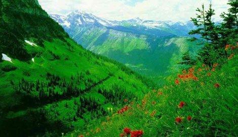 <p>2084- Doğanın yeniden doğuşu</p>
<ul>
</ul>
