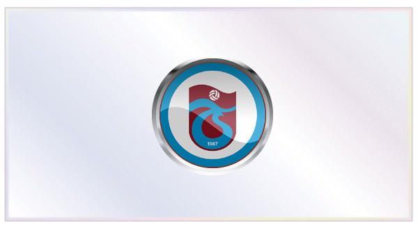 Gelenler: Sol Bamba (Leicester), Emre Güral (Bucaspor), Yasin Öztekin ve Soner Aydoğdu (Gençlerbirliği), Mücahit Atalay (1461 Trabzon) Gidenler: Glowacki, Piotr ve Pawel Brozek, Murat Tosun, Burak Yılmaz (Galatasaray)