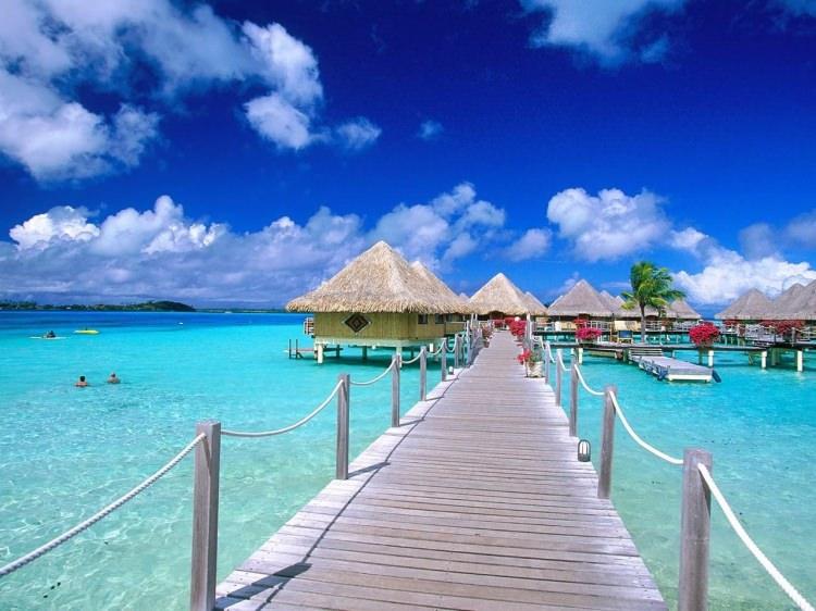 <p><strong>Roatan, Honduras</strong></p>
