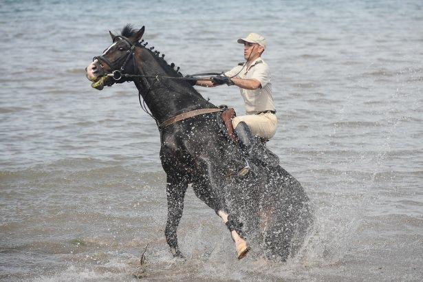 <p>Gemlik İlçesinde bulunan Askeri Veteriner Okulu ve Eğitim Merkezi, Türk Silahlı Kuvvetleri'nin özel olarak yetiştirilen köpeklerden sonra atlarında ihtiyacını karşılayan tek tabur konumunda. Burada, aralarında, 30 Ağustos Zafer Bayramı, 29 Ekim Cumhuriyet Bayramları'nda da kullanılan tören atlarının bulunduğu, 'top çeker' ile 'Engel atlama' ve 'üç günlük yarış müsabakalarına' katılan atlar yetiştirilip eğitiliyor. 4 yaşına kadar eğitilen bu atları daha sonra Kara Kuvvetleri Atlı Spor Eğitim Merkezi'ne teslim ettiklerini söyleyen Gemlik Askeri Veteriner Okulu At Üretim Bölüm Komutanı Yüzbaşı Mehmet Köse şu anda 80 at ile ilgilendiklerini açıkladı. TSK'da her atın, doğumu, eğitilmesi ve yetiştirilmesinin at ve atçılık kültürü kapsamında sadece kendi taburlarında yapıldığını açıklayan Köse, şunları söyledi:<br />
</p>