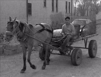 <p>AT ARABALARI: Bilhassa benzin kıtlığının yaşandığı 1970’lerde at arabaları, zerzevat satıcısından yük taşıyanına kadar hemen her meslek grubunun gözdesi olan ulaşım araçlarındandı. Bunların tahtadan dört adet tekerleği vardı ve bu tekerlekler özellikle paket taşlı yollarda çok fazla ses çıkarırdı. Arabalar genelde tek, bazen de iki at tarafından çekilir ve tüm atların başına siyah deriden at gözlüğü ile arkalarına da gübre torbaları bağlanırdı. Arabayı sürenin oturması için, aracın önünde biraz yükseltilerek deri minderle kaplanmış ve yetmeyerek, üzerine çeşitli kilim parçaları örtülmüş bir sürücü mahalli vardı. Atların arkalarına ne kadar torba bağlanırsa bağlansın, yine de hatırı sayılır bir ölçüde gübreler asfalta dökülerek gün boyu kaybolmayan nahoş kokulara sebep olurdu.</p>

<p> </p>
