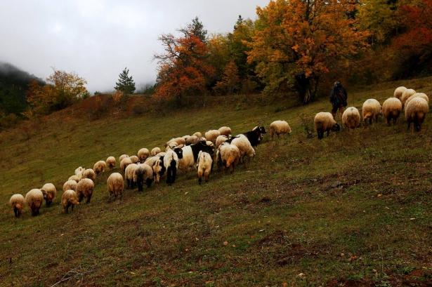 <p>Zigana Köyü Doğu Karadeniz</p>
