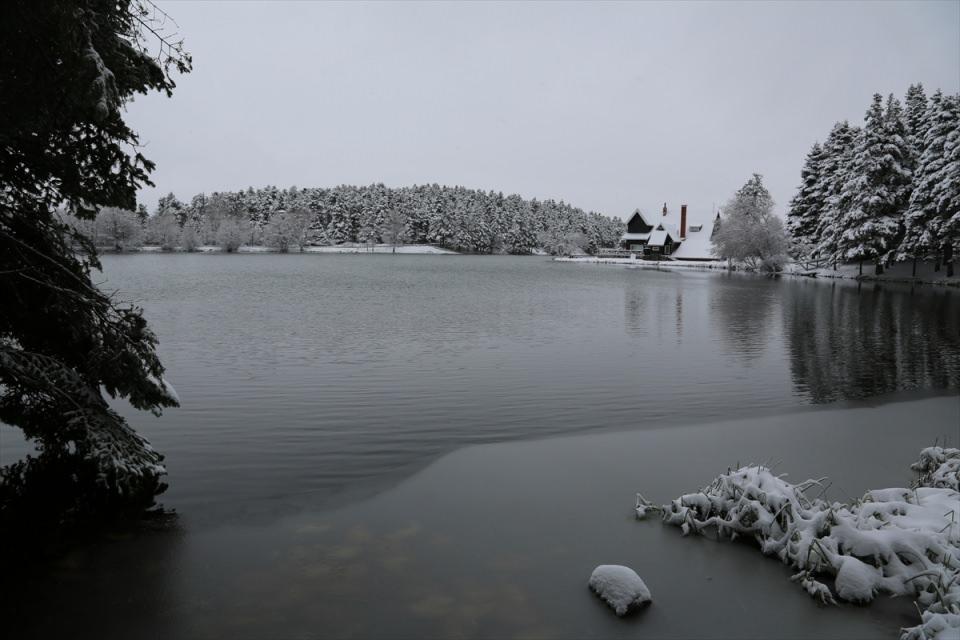 <p>BOLU</p>
