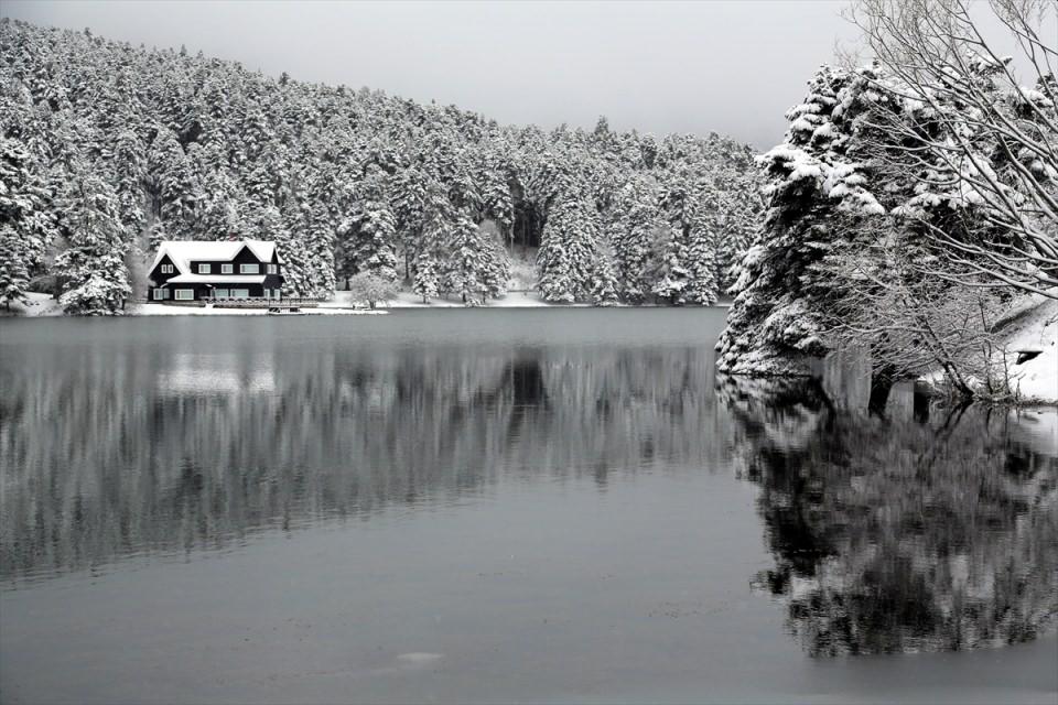 <p>BOLU</p>
