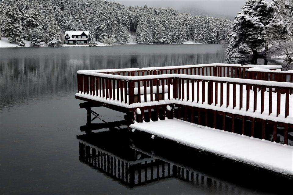 <p>BOLU</p>
