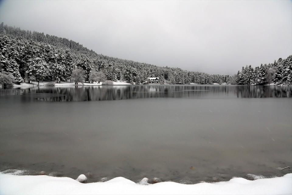 <p>BOLU</p>
