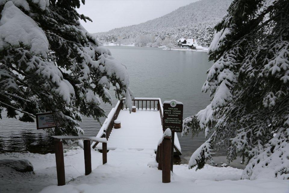 <p>BOLU</p>
