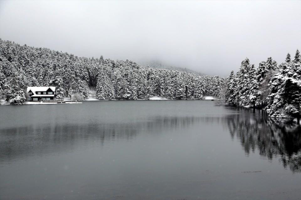 <p>BOLU</p>

