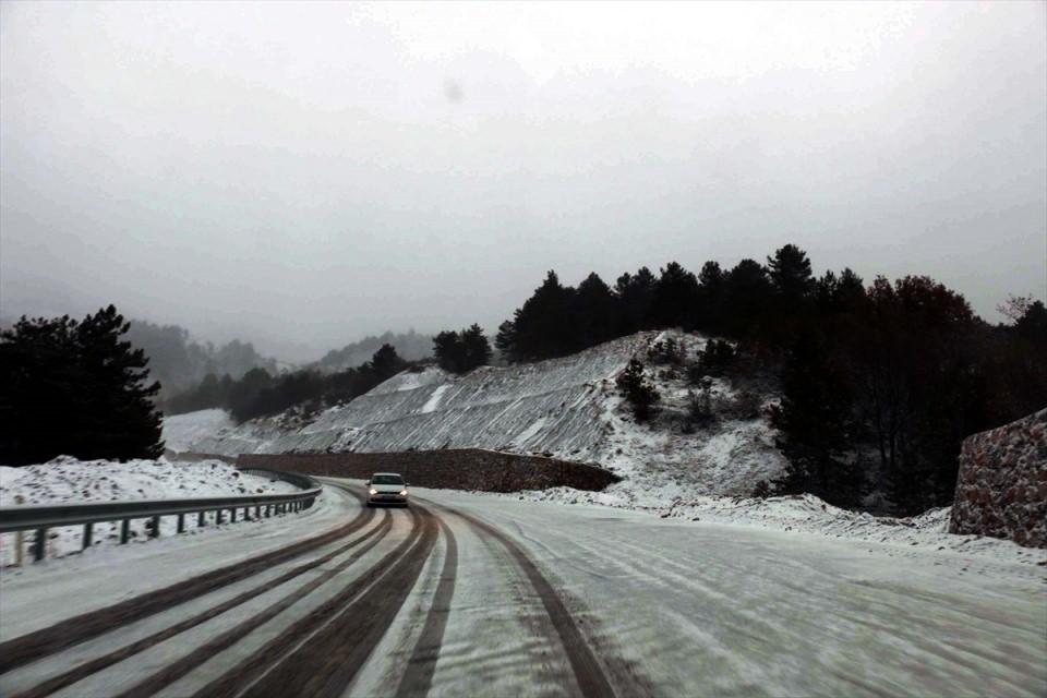 <p>BOLU</p>
