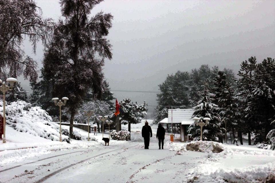 <p>BOLU</p>
