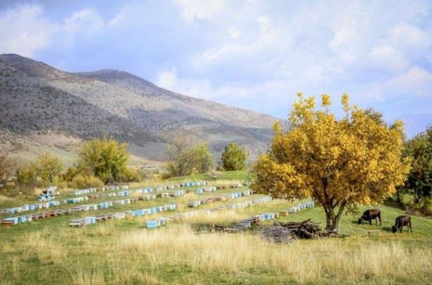 <p>Bitlis</p>
