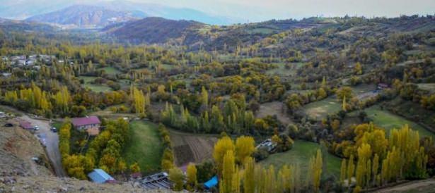 <p>Bitlis</p>
