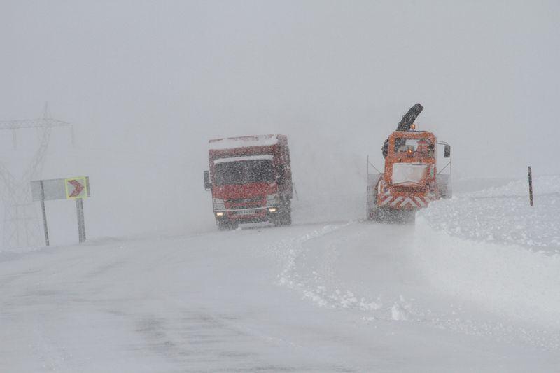 <p>ARDAHAN</p>
