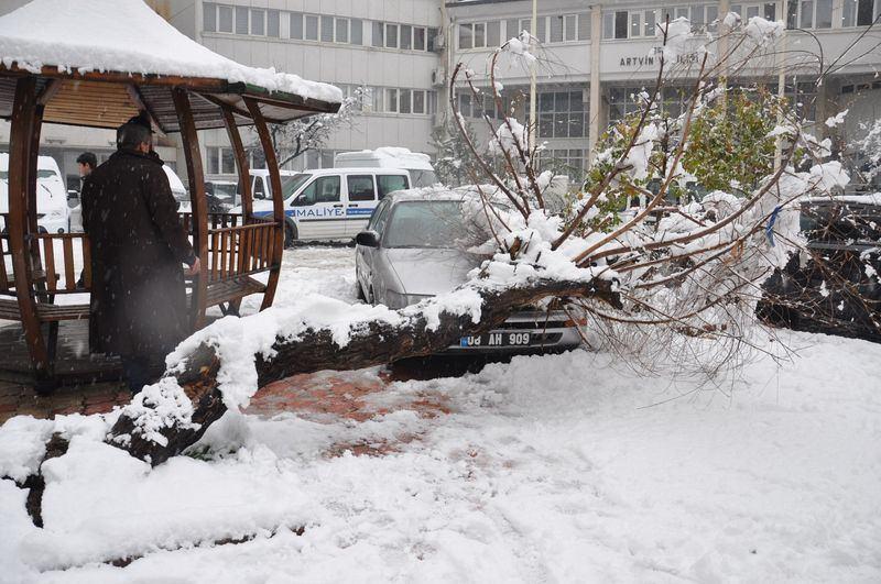 <p>ARTVİN</p>
