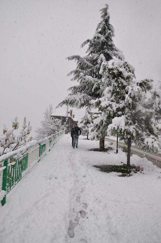 <p>ARTVİN</p>
