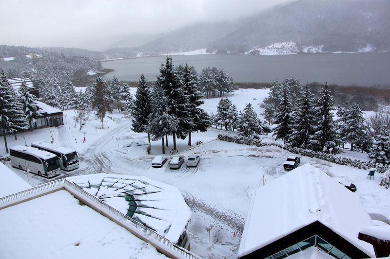 <p>BOLU</p>
