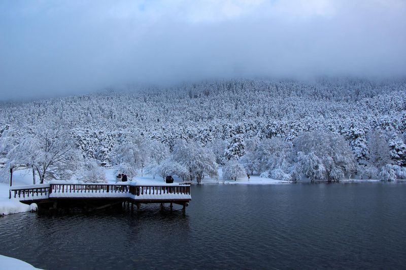 <p>BOLU</p>
