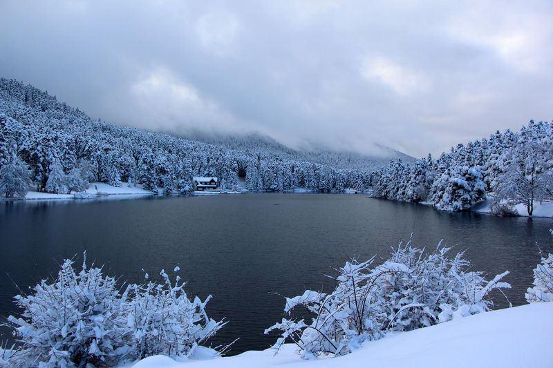 <p>BOLU</p>
