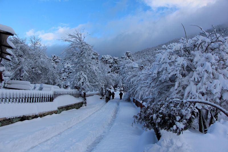 <p>BOLU</p>
