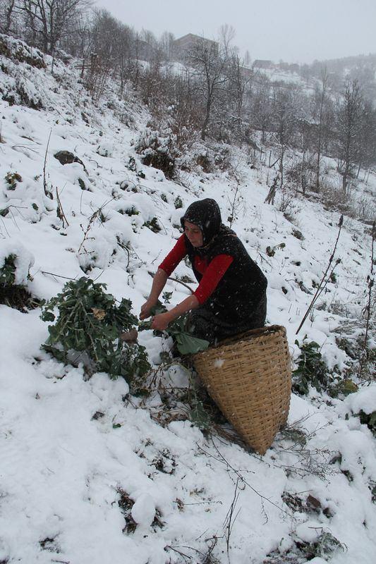 <p>GİRESUN</p>
