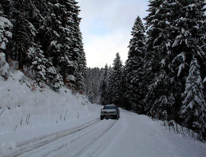 <p>GİRESUN</p>
