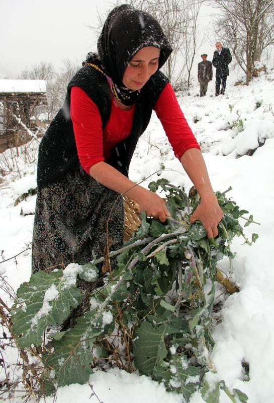<p>GİRESUN</p>
