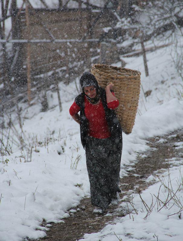 <p>GİRESUN</p>
