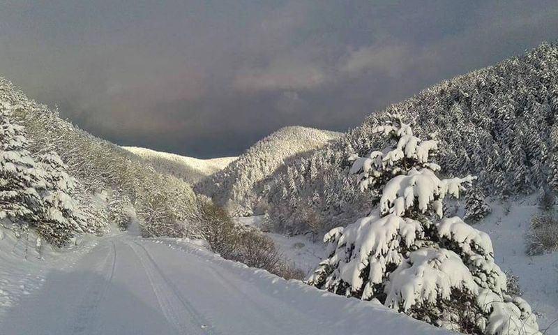 <p>ORDU</p>
