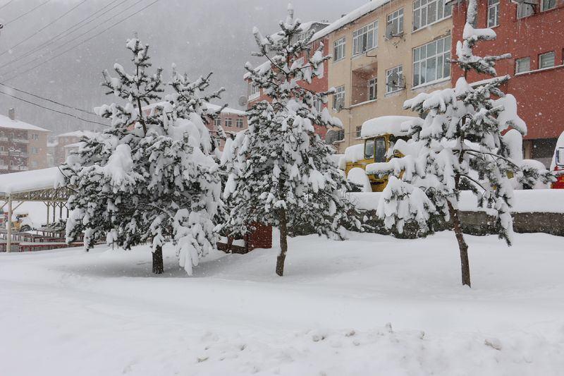 <p>ORDU</p>
