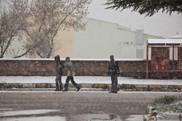 <p>BİTLİS</p>
